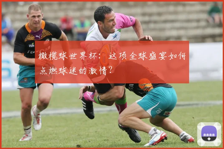 橄榄球世界杯：这项全球盛宴如何点燃球迷的激情？