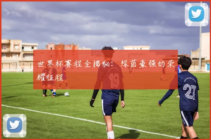 世界杯赛程全揭秘：绿茵豪强的荣耀征程