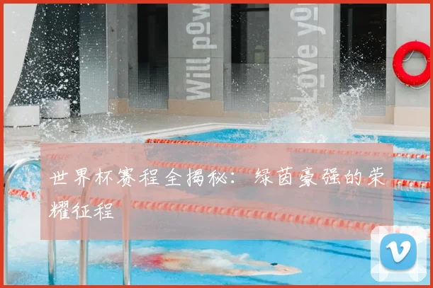 世界杯赛程全揭秘：绿茵豪强的荣耀征程