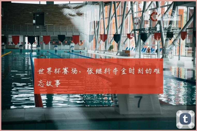 世界杯赛场，张继科夺金时刻的难忘故事