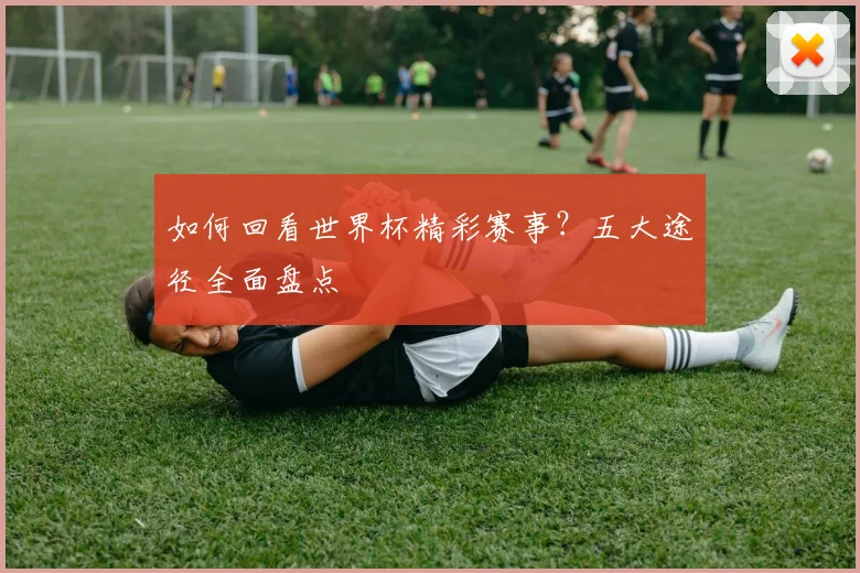 如何回看世界杯精彩赛事?五大途径全面盘点