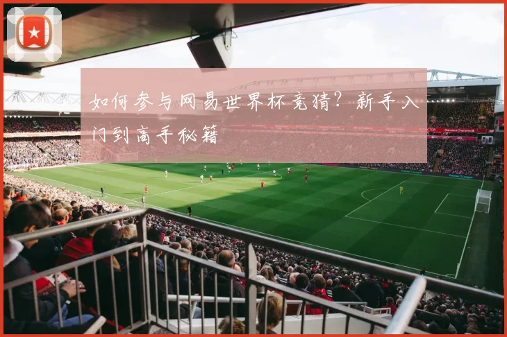 如何参与网易世界杯竞猜？新手入门到高手秘籍